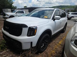 2024 Kia Telluride for sale in Knoxville TN