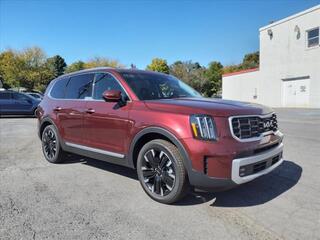 2024 Kia Telluride for sale in Winchester VA