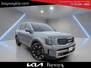 2023 Kia Telluride for sale in Houston TX