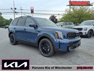 2025 Kia Telluride for sale in Winchester VA