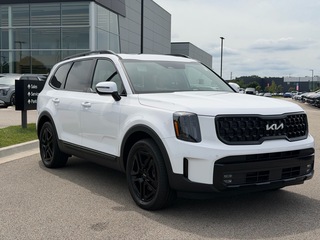 2024 Kia Telluride for sale in Elgin IL