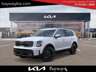 2025 Kia Telluride for sale in Houston TX