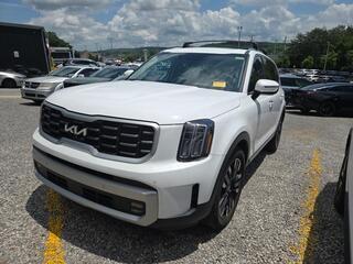 2023 Kia Telluride for sale in Knoxville TN