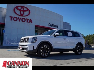 2024 Kia Telluride for sale in Moss Point MS