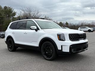 2025 Kia Telluride for sale in Asheville NC