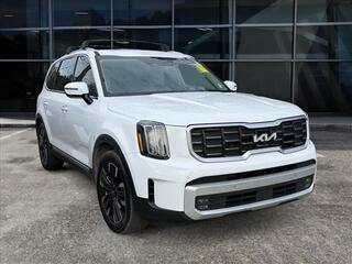 2024 Kia Telluride for sale in Cleveland TN