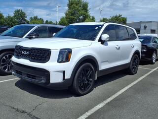 2024 Kia Telluride for sale in Fort Mill SC