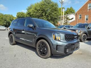 2024 Kia Telluride for sale in Winchester VA