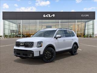 2024 Kia Telluride for sale in Elgin IL