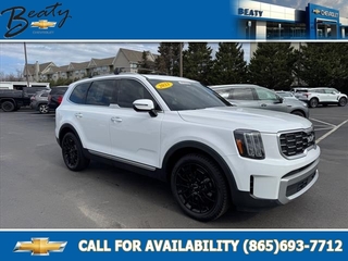 2023 Kia Telluride for sale in Knoxville TN