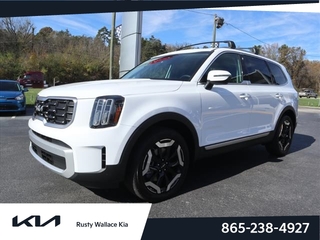 2025 Kia Telluride for sale in Louisville TN