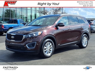 2016 Kia Sorento for sale in Florence KY