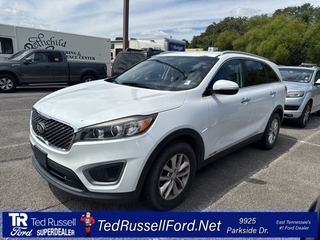 2017 Kia Sorento for sale in Knoxville TN