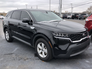 2021 Kia Sorento for sale in North Haven CT