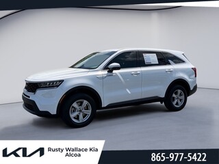 2023 Kia Sorento for sale in Louisville TN