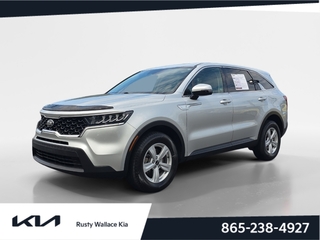 2021 Kia Sorento for sale in Louisville TN