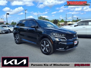 2021 Kia Sorento for sale in Winchester VA