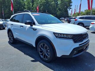 2023 Kia Sorento for sale in New Bern NC
