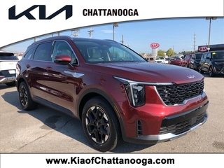 2025 Kia Sorento for sale in Chattanooga TN