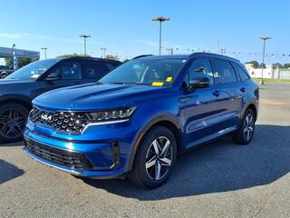 2023 Kia Sorento for sale in Shelby NC