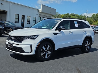 2023 Kia Sorento for sale in Roanoke VA