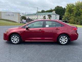 2024 Toyota Corolla for sale in Morristown TN