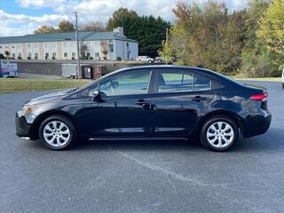 2024 Toyota Corolla for sale in Morristown TN