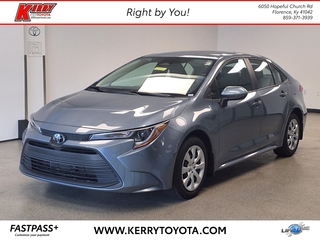 2024 Toyota Corolla for sale in Florence KY
