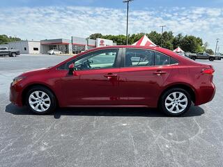2025 Toyota Corolla for sale in Morristown TN