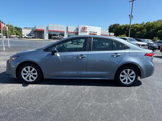 2024 Toyota Corolla for sale in Morristown TN