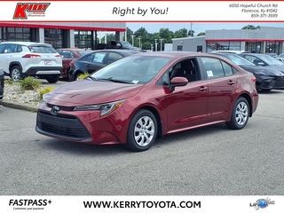 2025 Toyota Corolla for sale in Florence KY