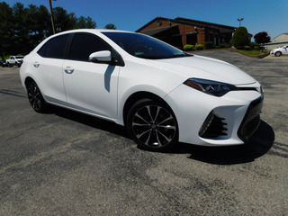 2019 Toyota Corolla for sale in Clarksville TN