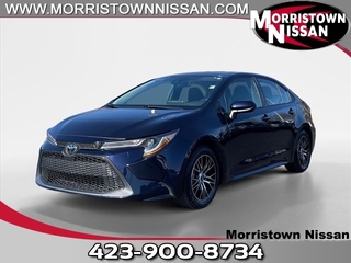 2021 Toyota Corolla for sale in Morristown TN