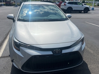 2021 Toyota Corolla for sale in Johnson City TN