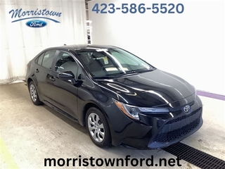 2021 Toyota Corolla for sale in Morristown TN