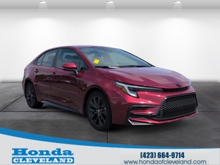 2024 Toyota Corolla for sale in Cleveland TN