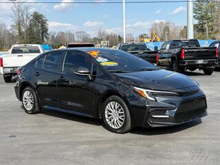 2024 Toyota Corolla for sale in Hendersonville NC