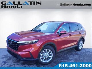 2024 Honda CR-V for sale in Gallatin TN