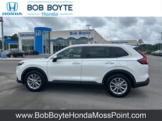 2025 Honda CR-V for sale in Moss Point MS