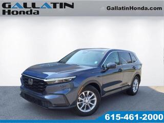 2024 Honda CR-V for sale in Gallatin TN