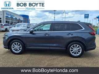 2024 Honda CR-V for sale in Brandon MS