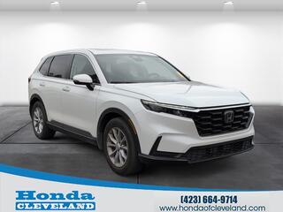 2024 Honda CR-V for sale in Cleveland TN