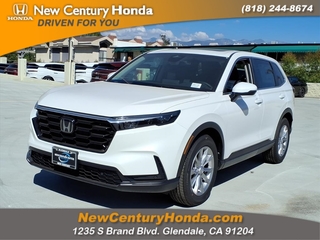 2023 Honda CR-V for sale in Glendale CA