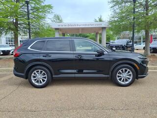 2025 Honda CR-V for sale in Nashville TN