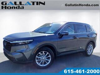 2024 Honda CR-V for sale in Gallatin TN