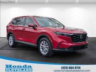 2025 Honda CR-V for sale in Cleveland TN