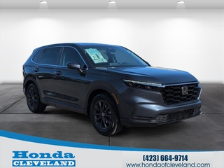 2026 Honda CR-V for sale in Cleveland TN