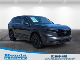 2026 Honda CR-V for sale in Cleveland TN