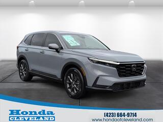 2026 Honda CR-V for sale in Cleveland TN