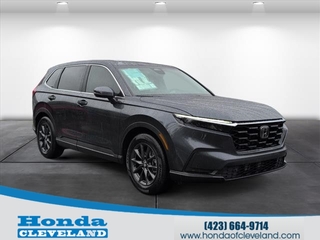 2026 Honda CR-V for sale in Cleveland TN
